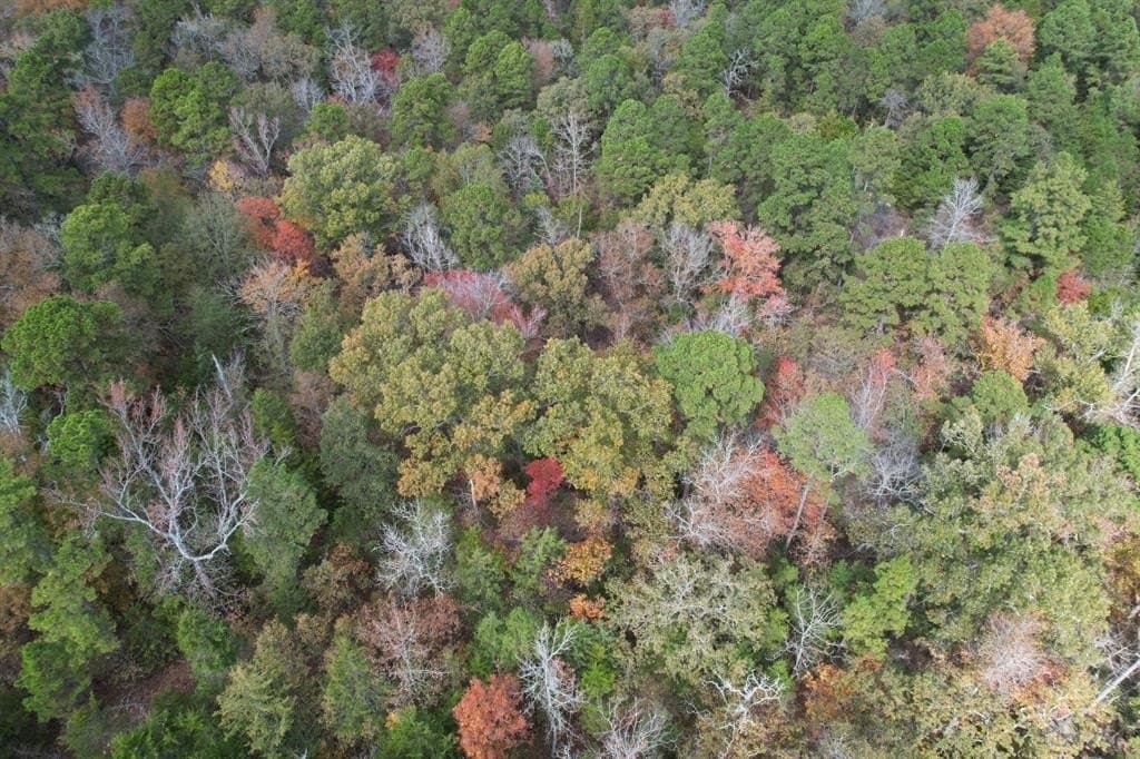 132.07 acres in Upshur County - photo 22