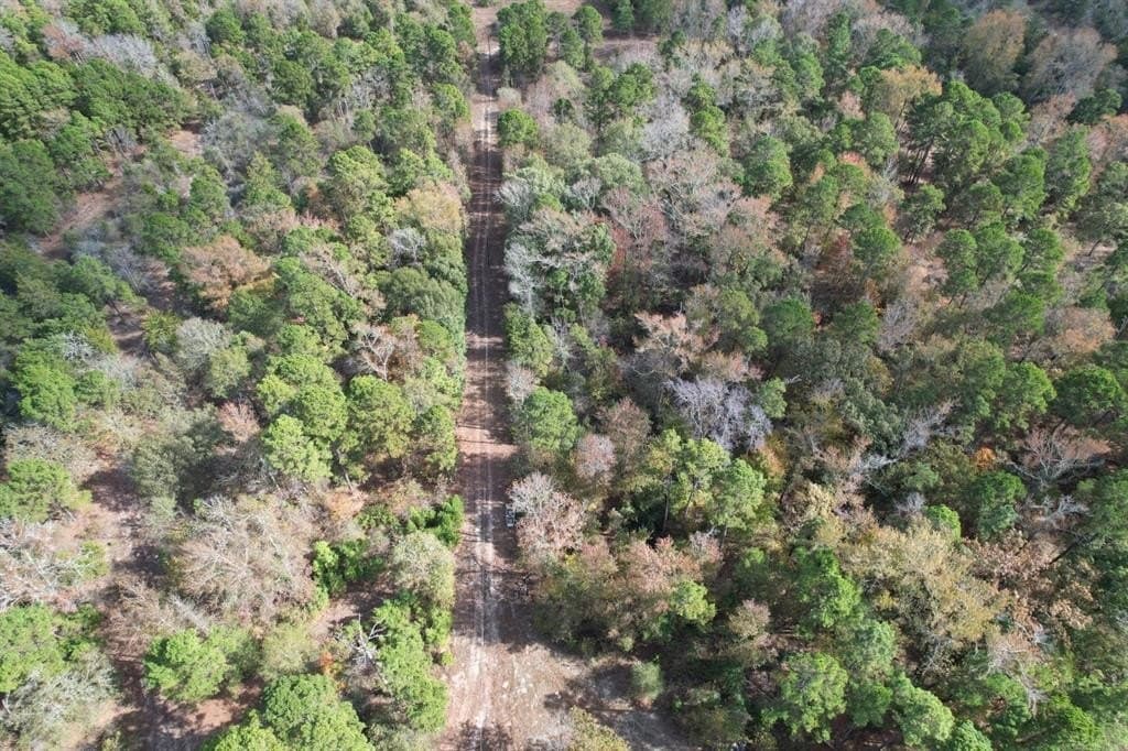 132.07 acres in Upshur County - photo 14