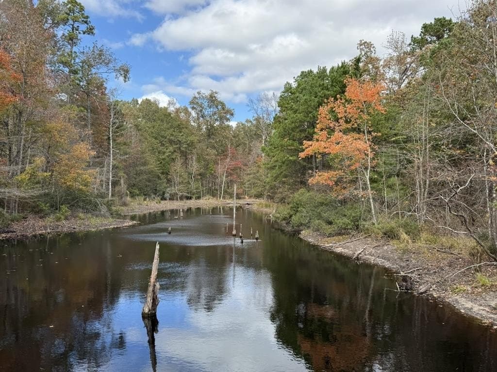132.07 acres in Upshur County - photo 9