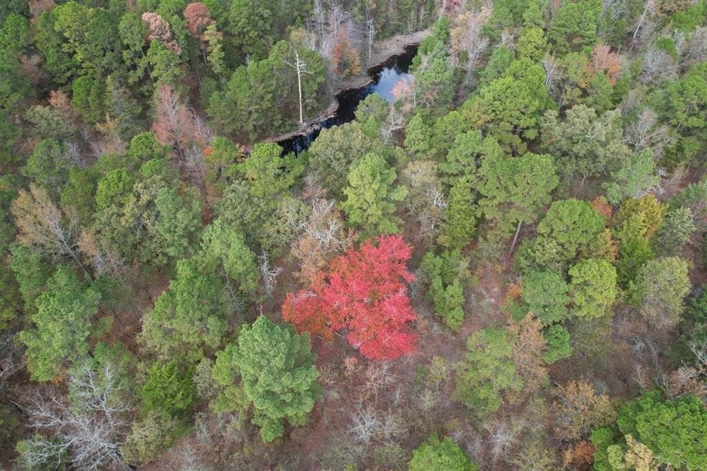132.07 acres in Upshur County - photo 23