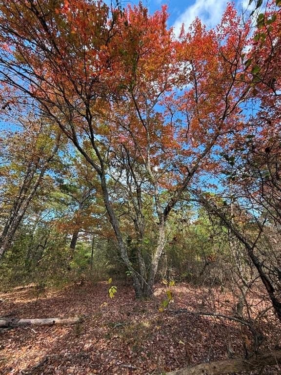 132.07 acres in Upshur County - photo 28