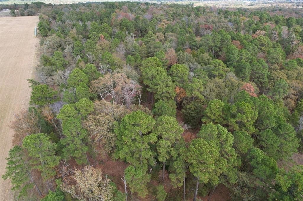 132.07 acres in Upshur County - photo 19