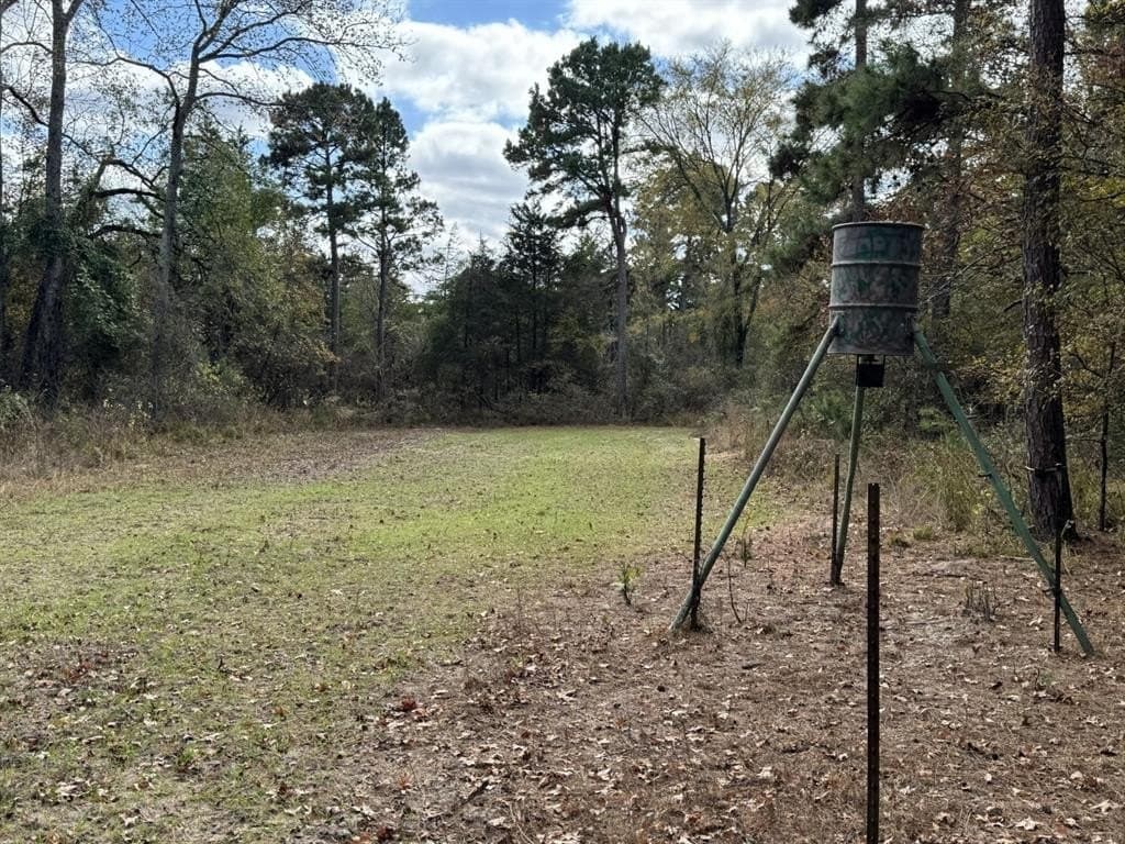 132.07 acres in Upshur County - photo 11
