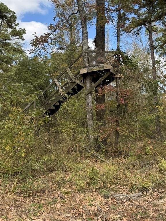 132.07 acres in Upshur County - photo 10