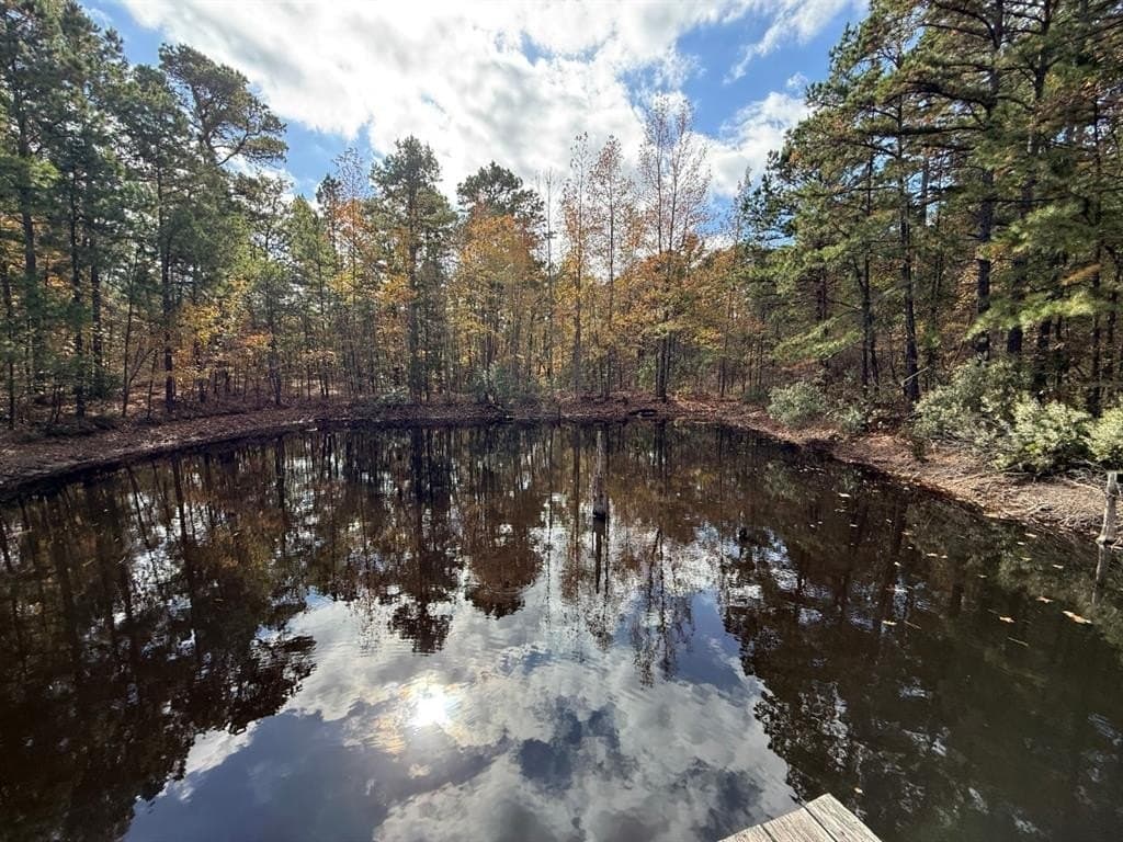 132.07 acres in Upshur County - photo 26