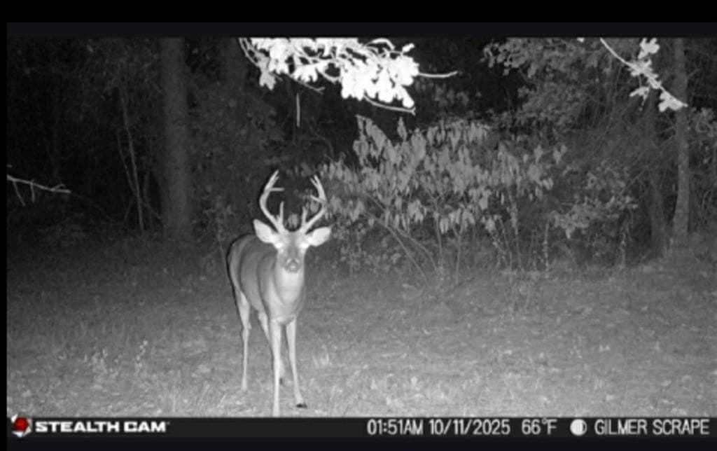 132.07 acres in Upshur County - photo 5