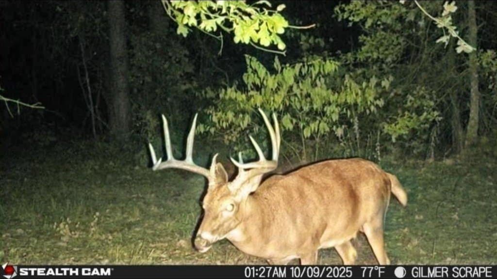 132.07 acres in Upshur County - photo 3