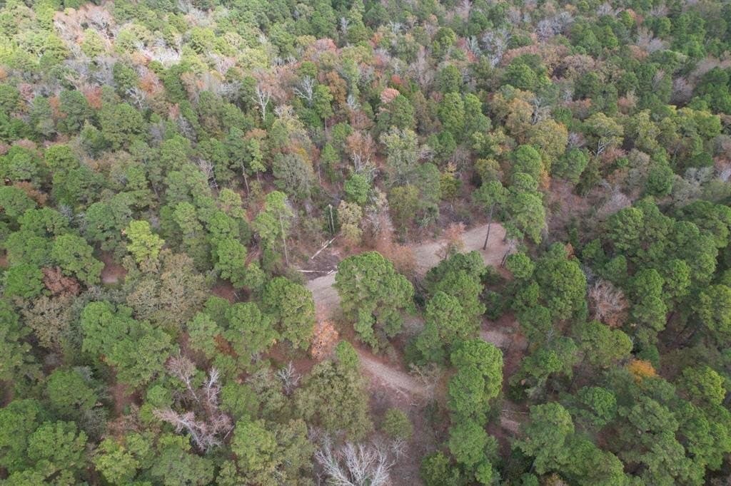 132.07 acres in Upshur County - photo 21