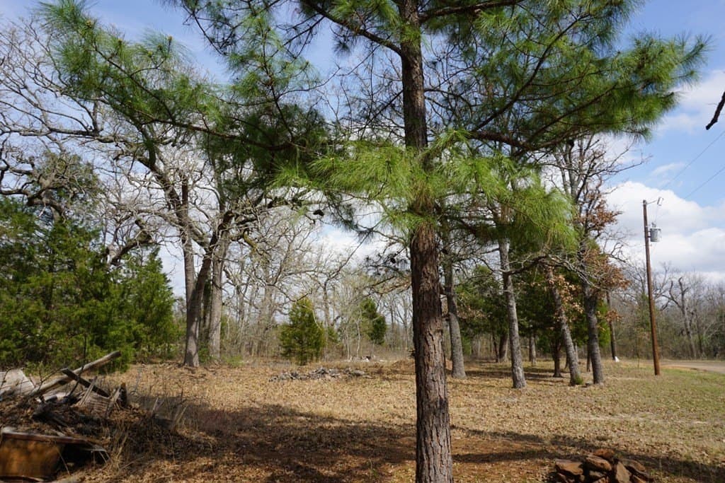 0.3 acres in Henderson County - photo 9