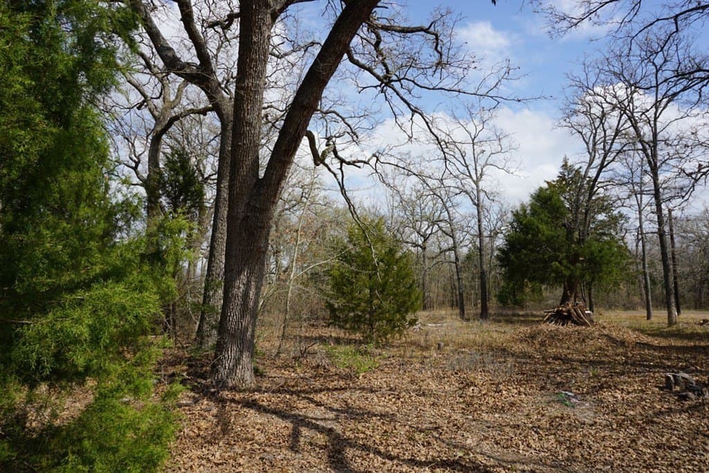 0.3 acres in Henderson County - photo 8