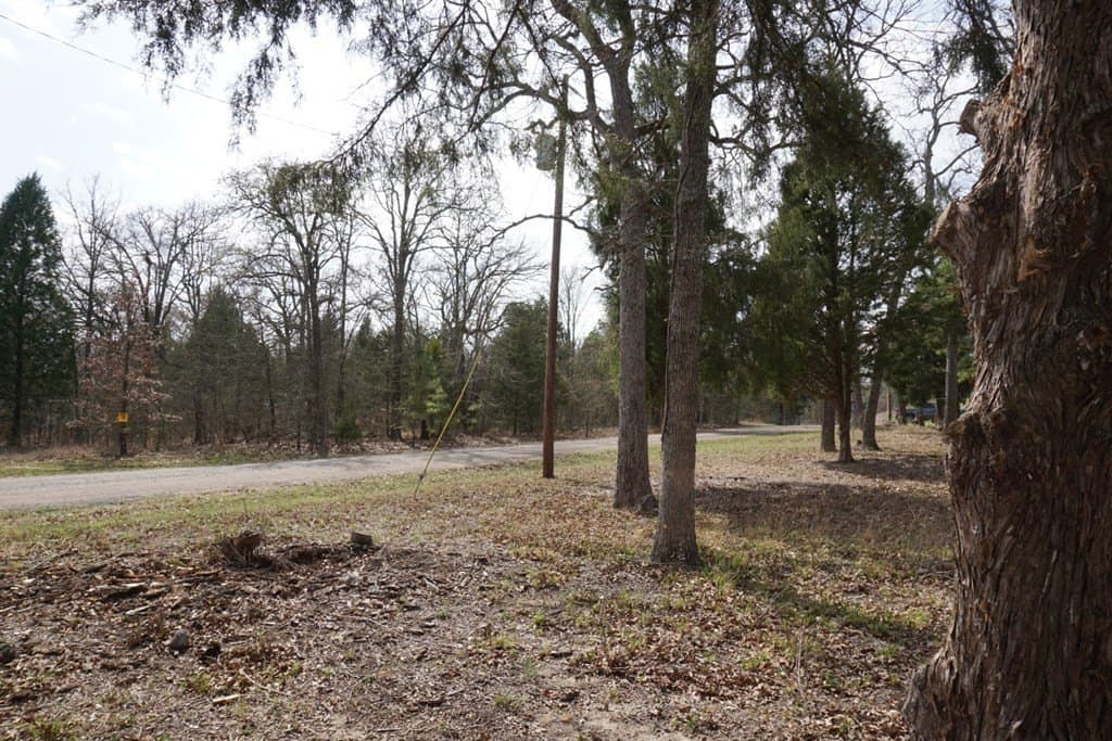 0.3 acres in Henderson County - photo 10