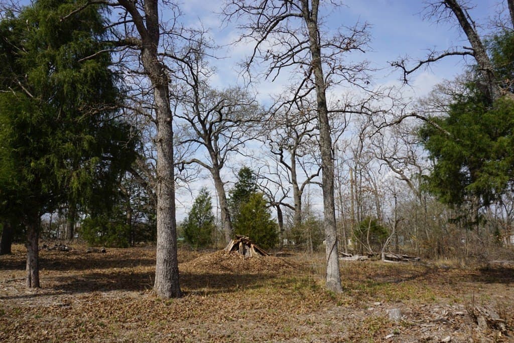 0.3 acres in Henderson County - photo 2