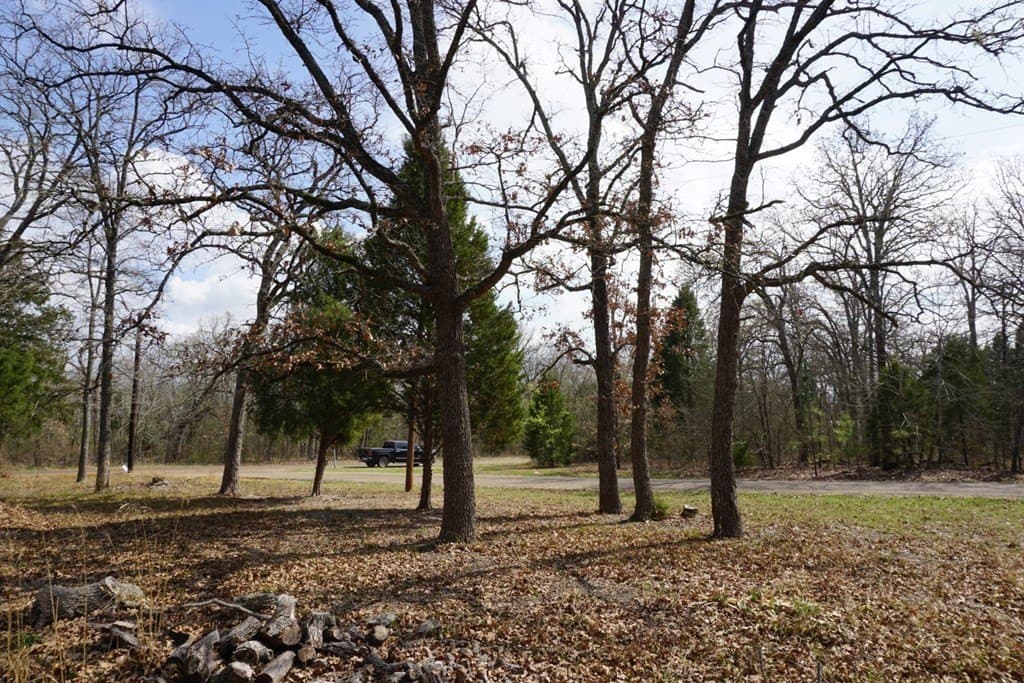 0.3 acres in Henderson County - photo 6