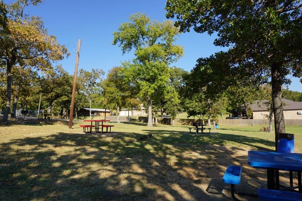 0.3 acres in Henderson County - photo 13