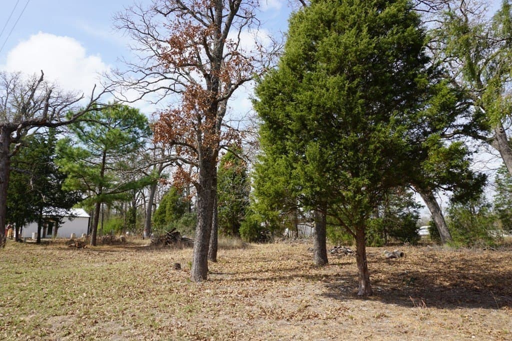 0.3 acres in Henderson County - photo 4
