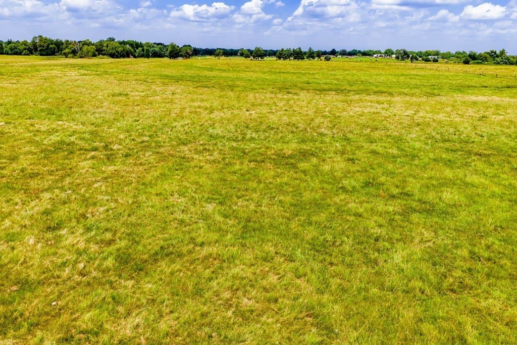 16 acres in Kaufman County - photo 10