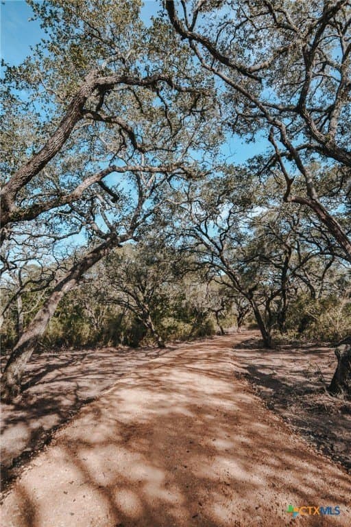 10.12 acres in Victoria County - photo 7