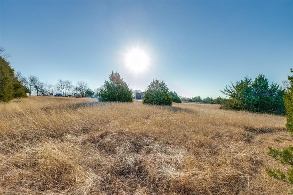 5 acres in Collin County - photo 8