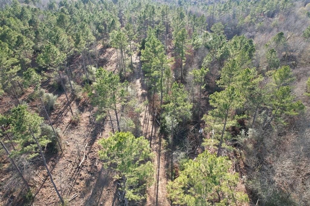 12 acres in Panola County - photo 6