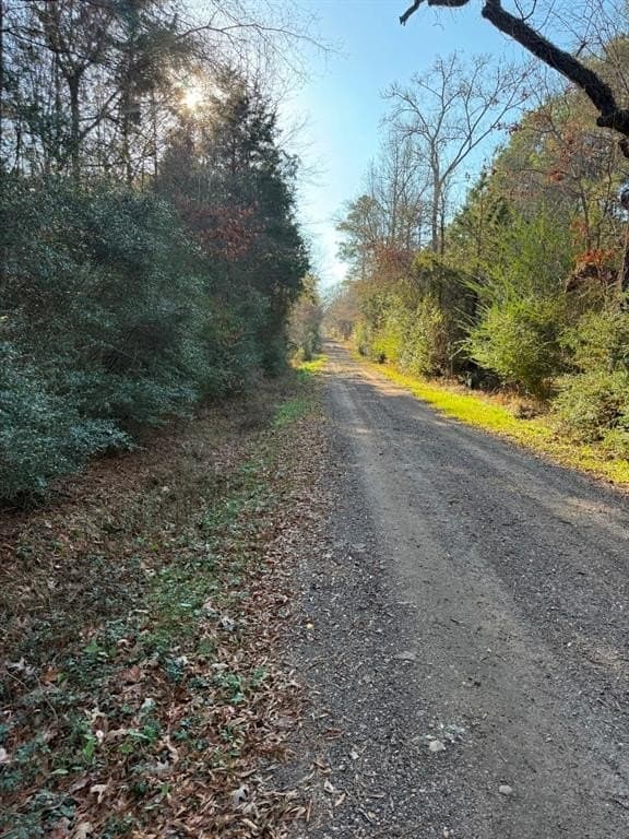 12 acres in Panola County - photo 7