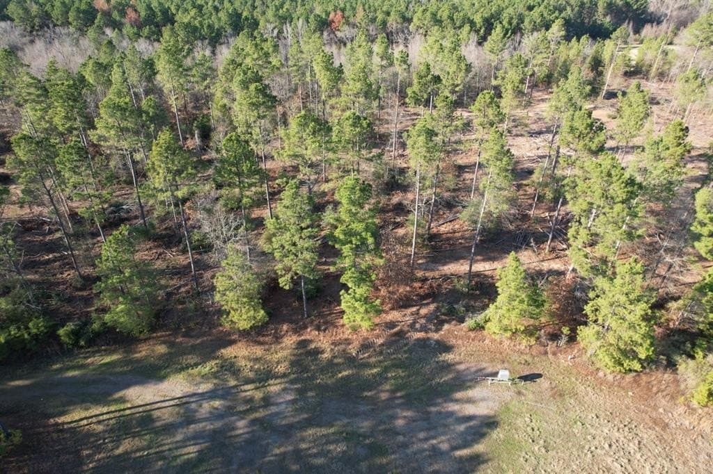 12 acres in Panola County - photo 4