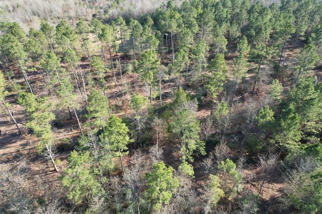 12 acres in Panola County - photo 2