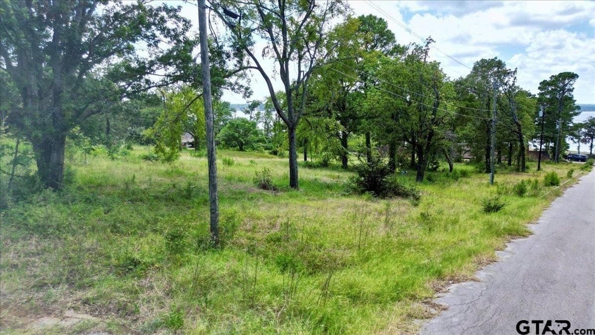 10.16 acres in Smith County - photo 23