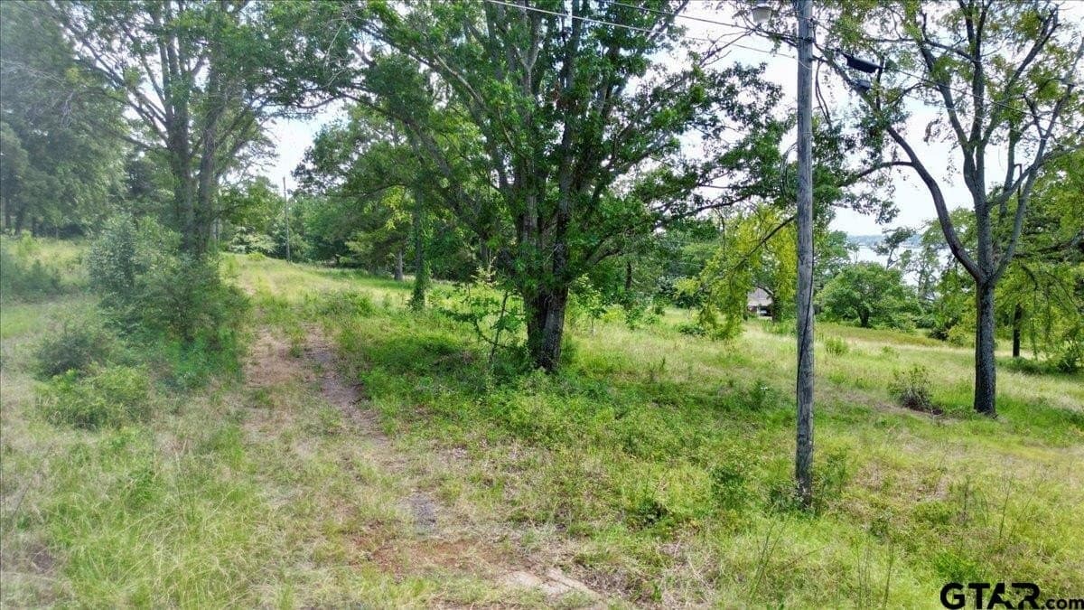 10.16 acres in Smith County - photo 25
