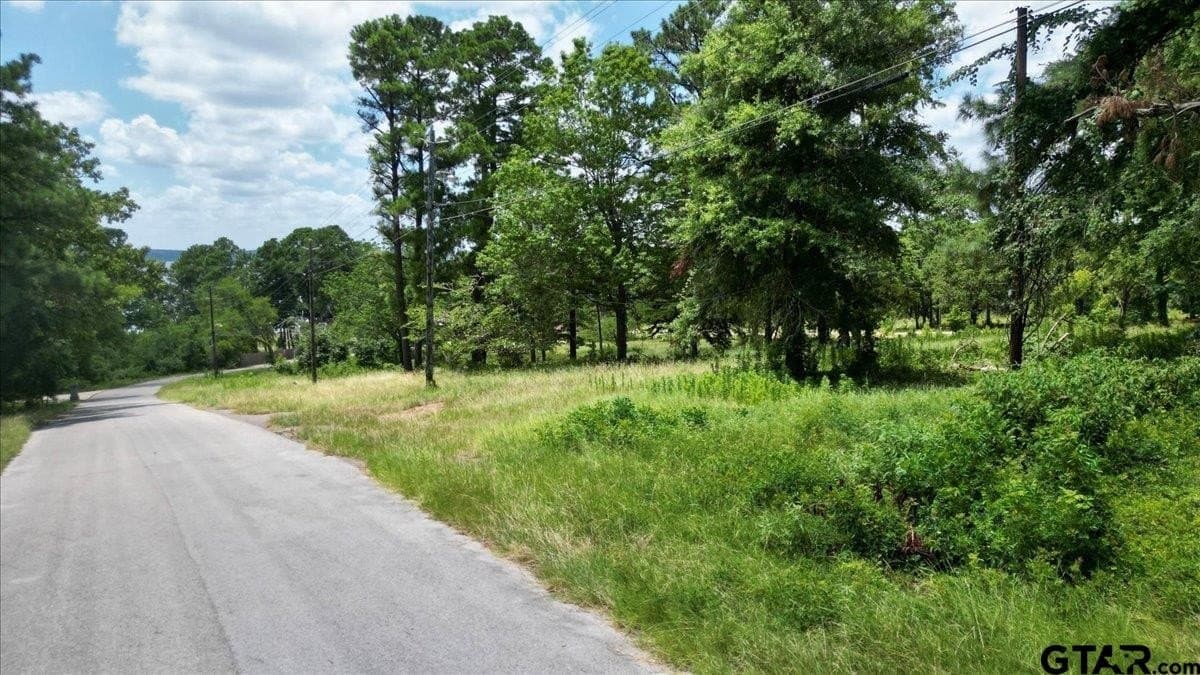 10.16 acres in Smith County - photo 22