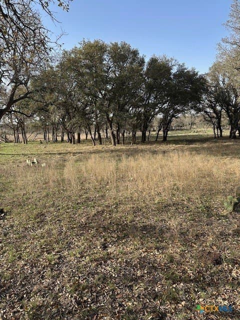 16 acres in Lampasas County - photo 6