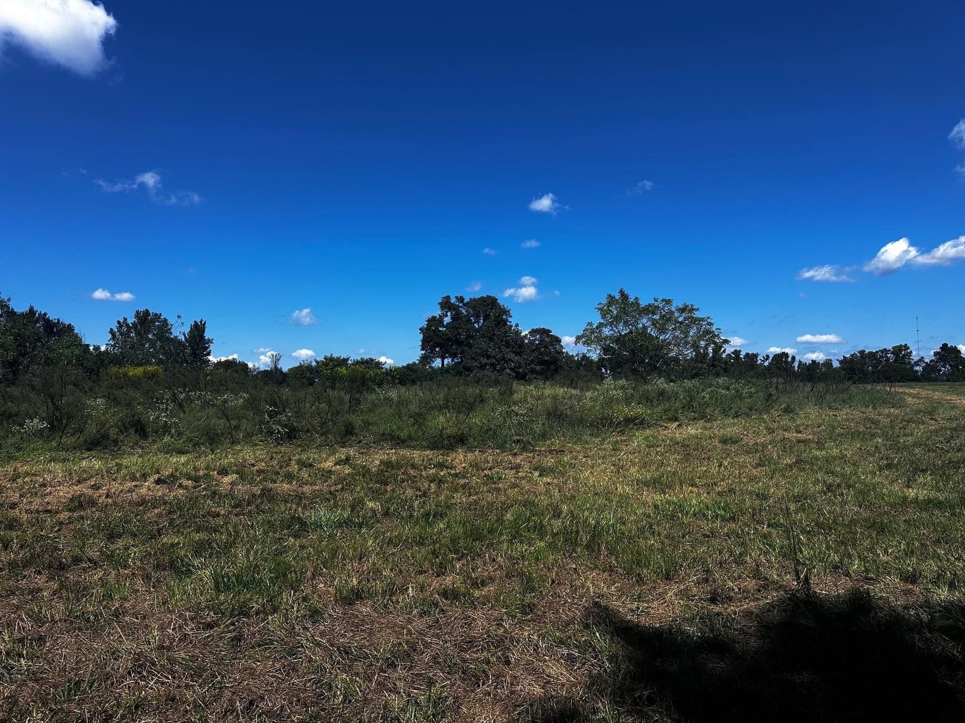 10 acres in Van Zandt County - photo 4
