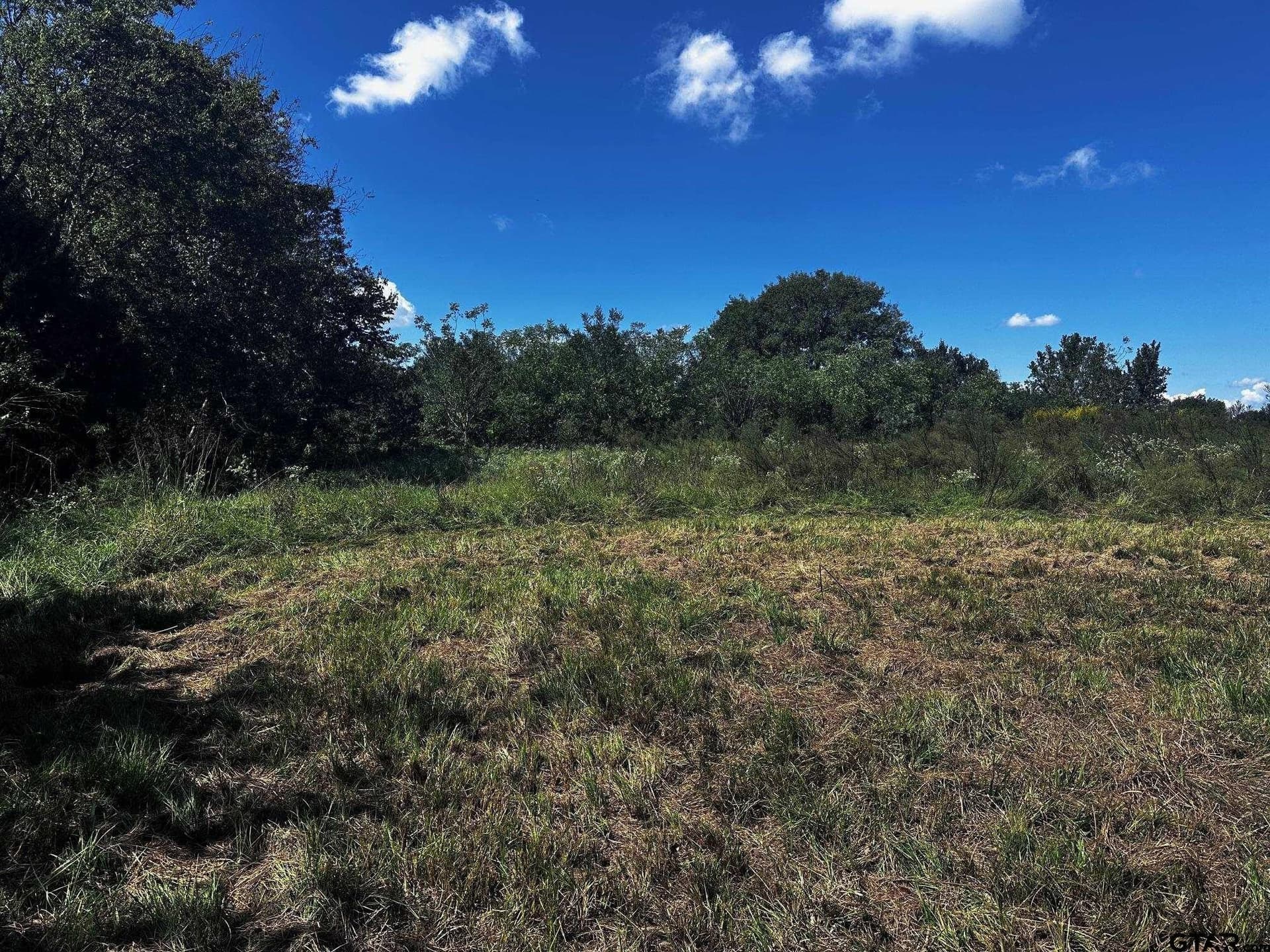 10 acres in Van Zandt County - photo 3