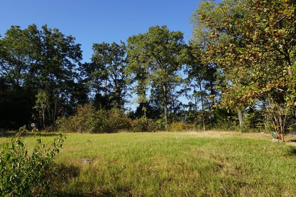 0.25 acres in Henderson County - photo 5