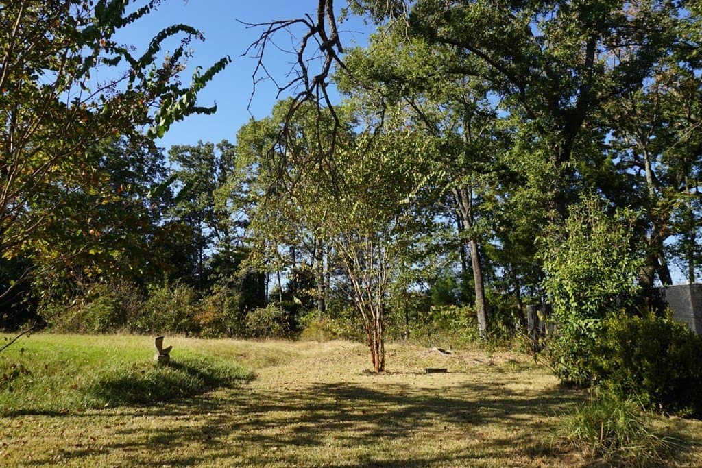 0.25 acres in Henderson County - photo 7