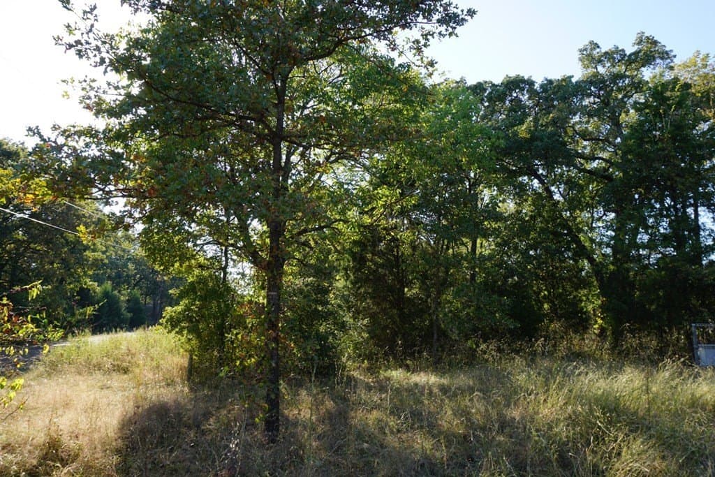 0.25 acres in Henderson County - photo 13