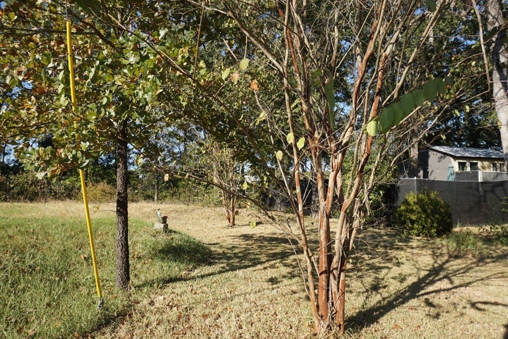 0.25 acres in Henderson County - photo 6