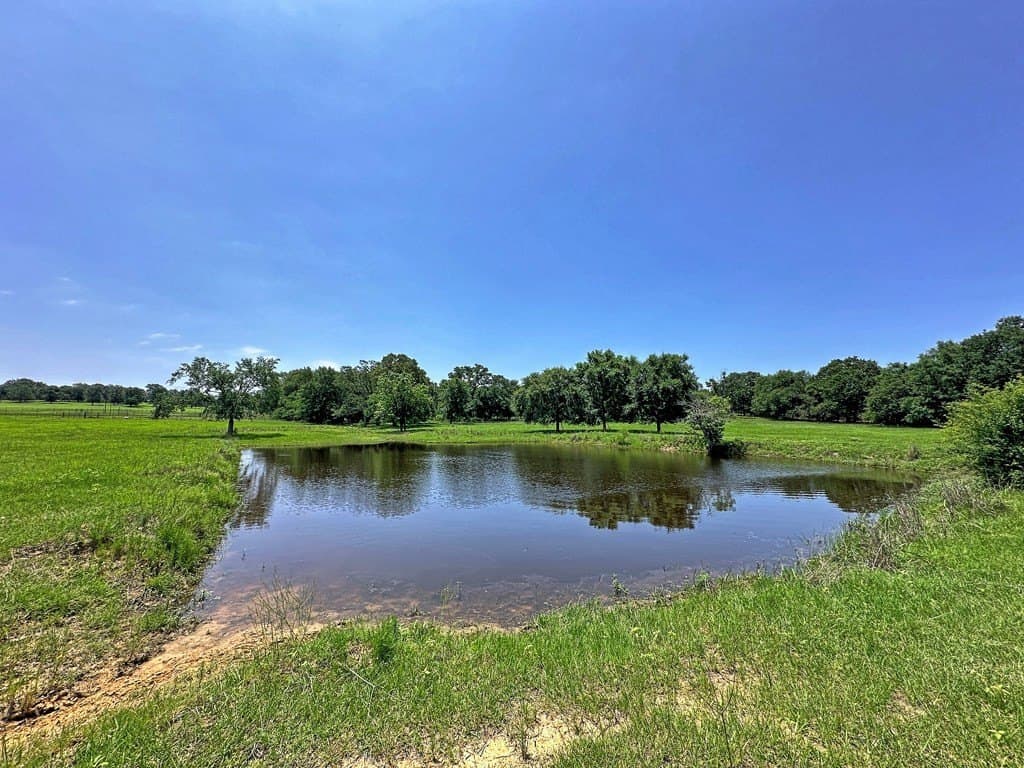 41.84 acres in Henderson County - photo 5