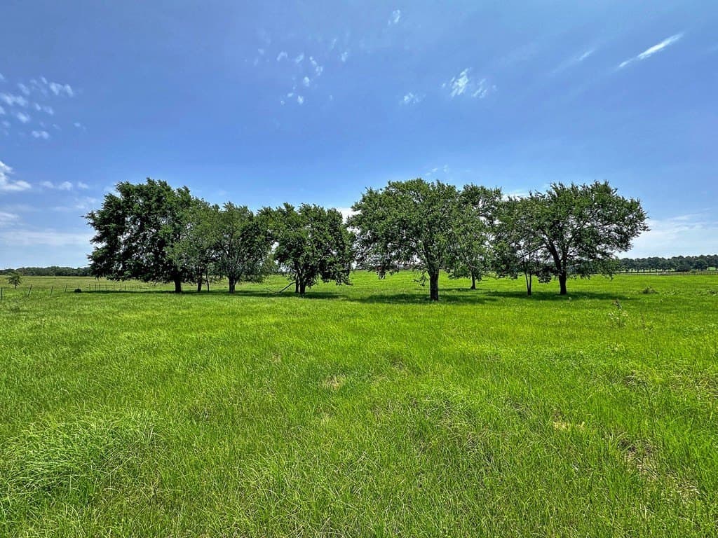 41.84 acres in Henderson County - photo 6