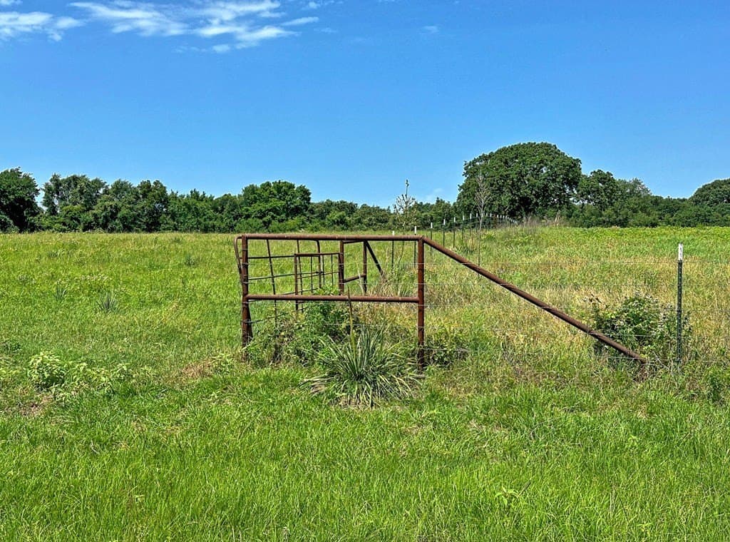 41.84 acres in Henderson County - photo 8