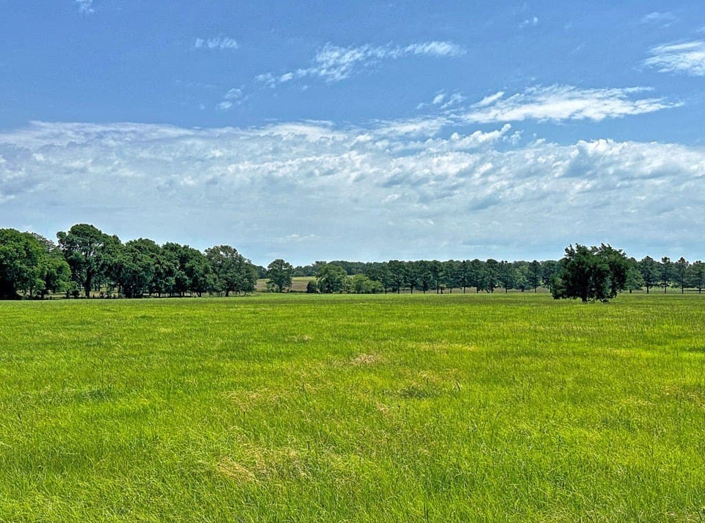 41.84 acres in Henderson County - photo 3