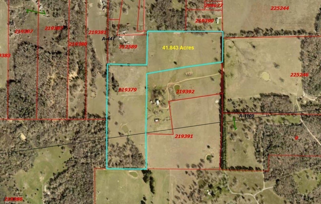 41.84 acres in Henderson County - photo 14