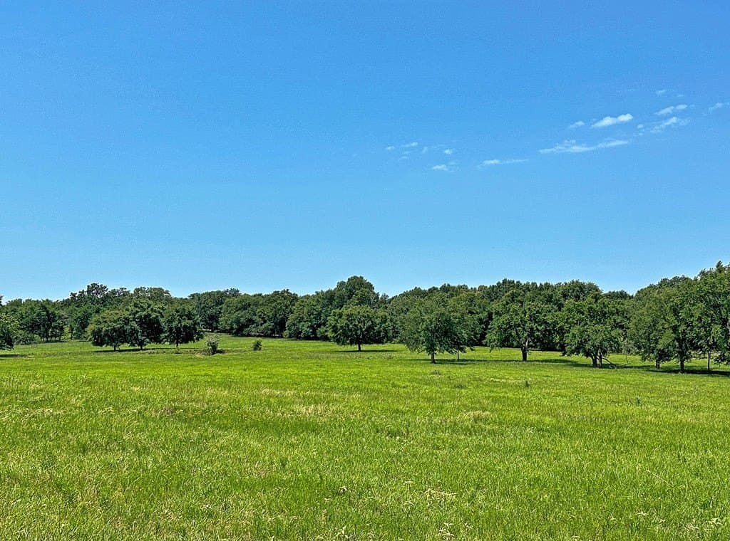 41.84 acres in Henderson County - photo 7