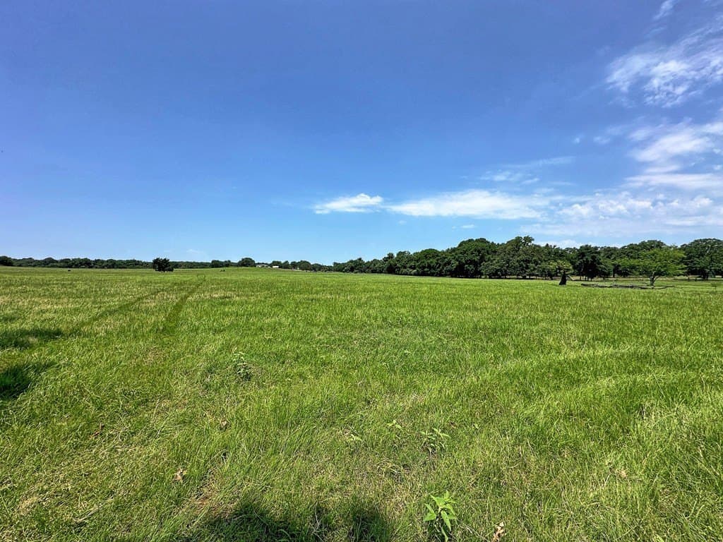 41.84 acres in Henderson County - photo 2