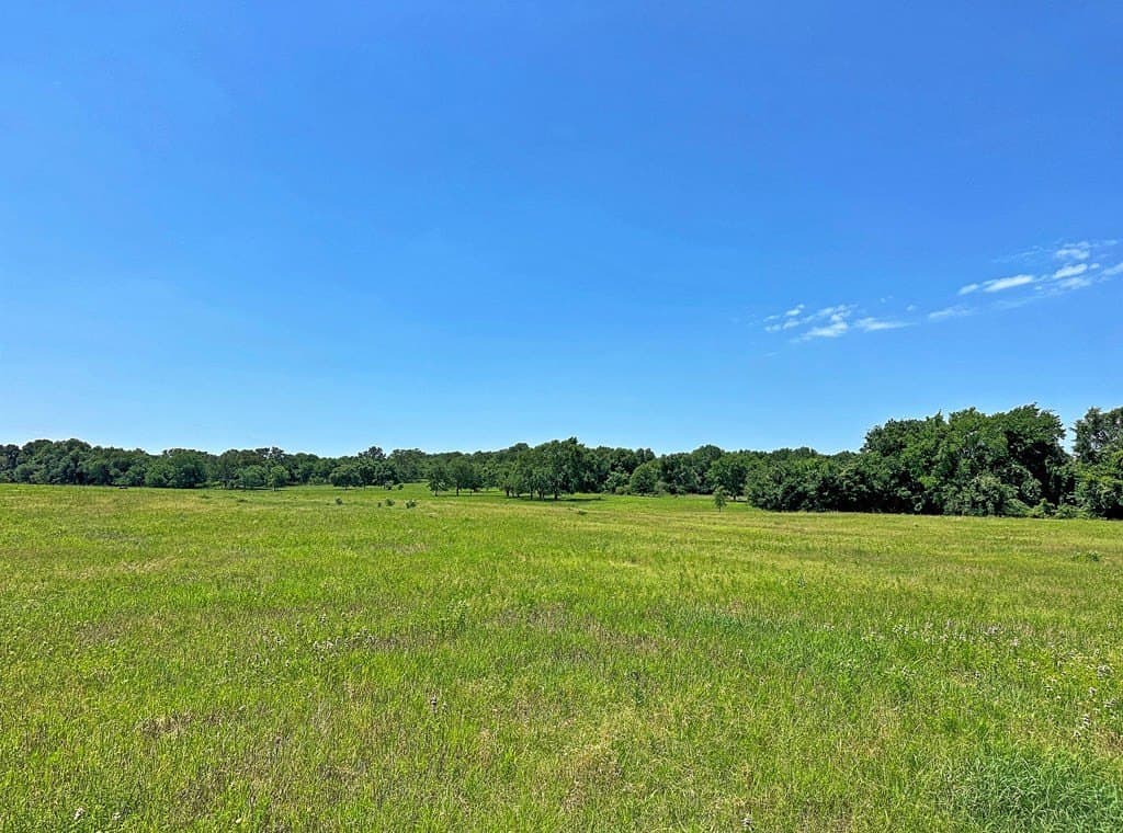 41.84 acres in Henderson County - photo 4