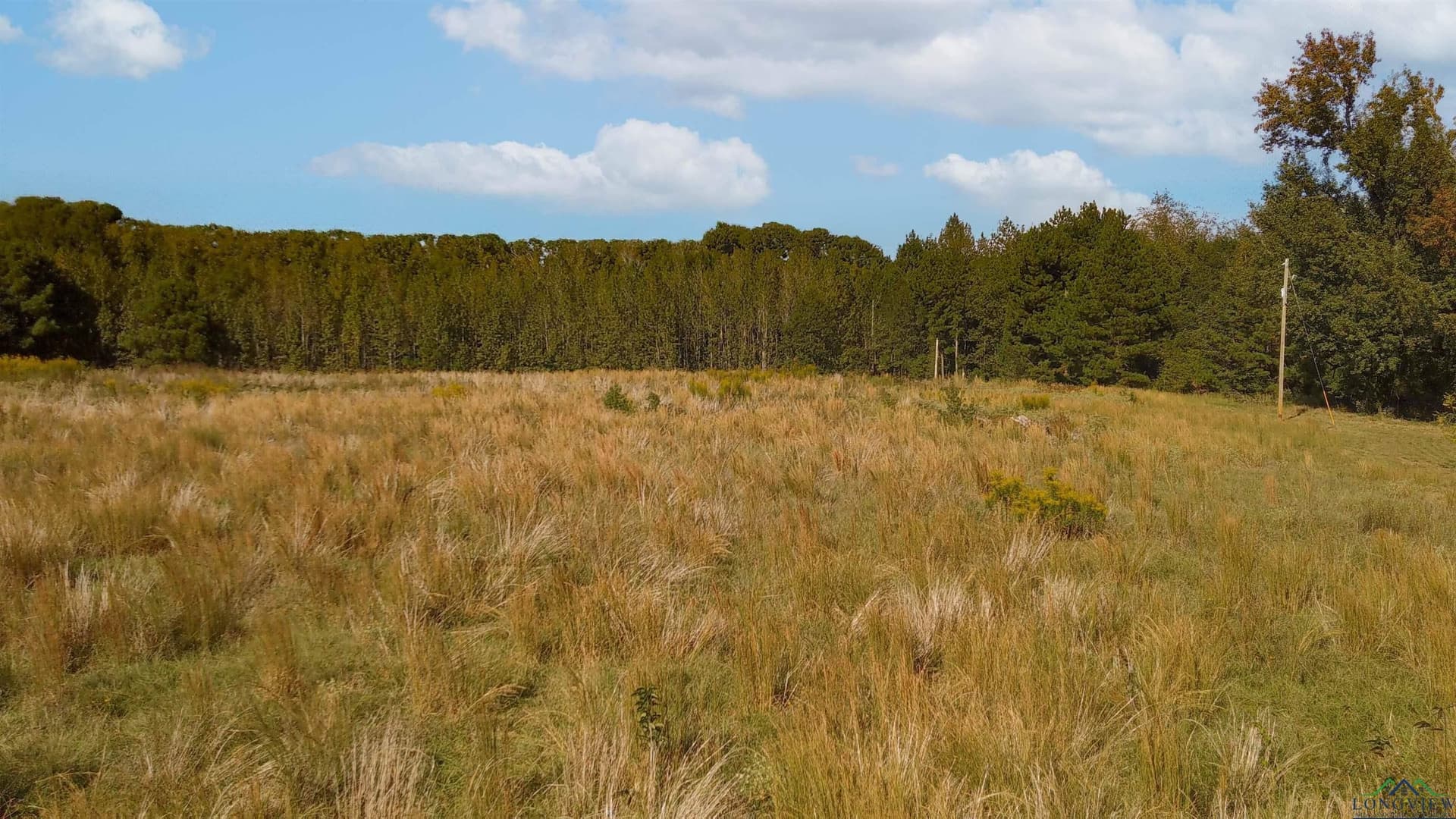 17.14 acres in Morris County - photo 8