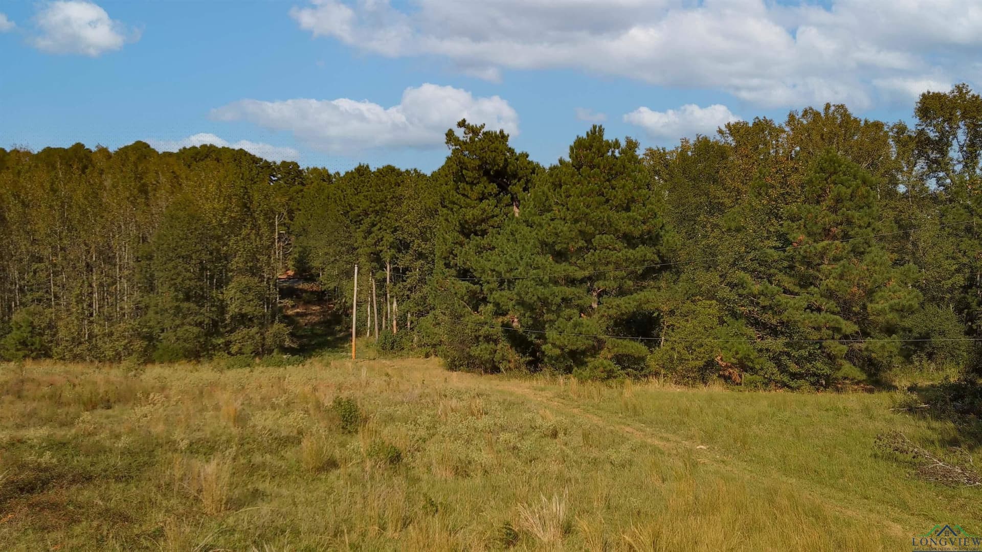 17.14 acres in Morris County - photo 9