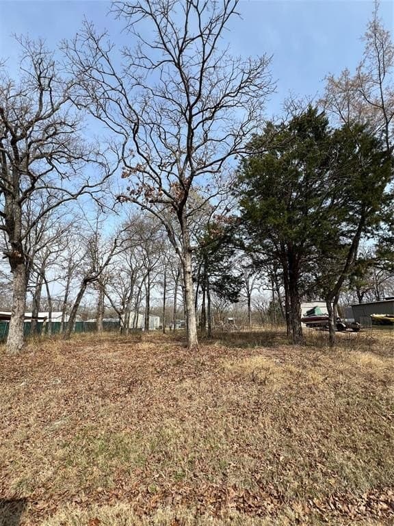 0.12 acres in Henderson County - photo 2