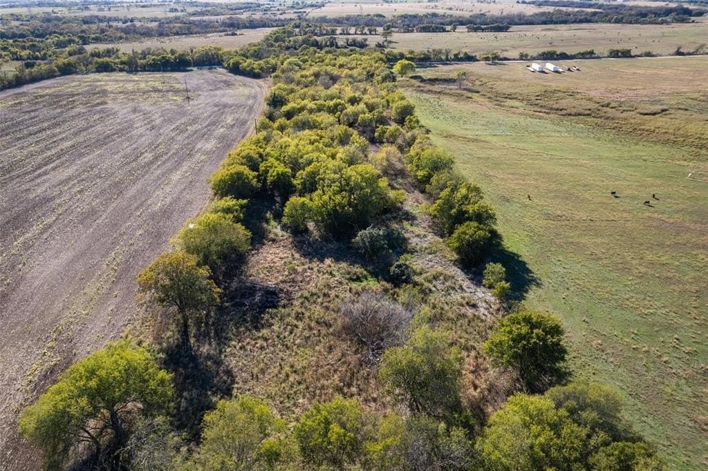 84 acres in Hill County - photo 2