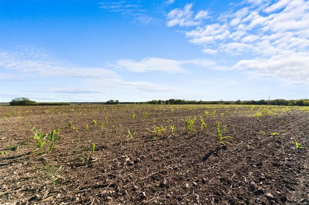 84 acres in Hill County - photo 7