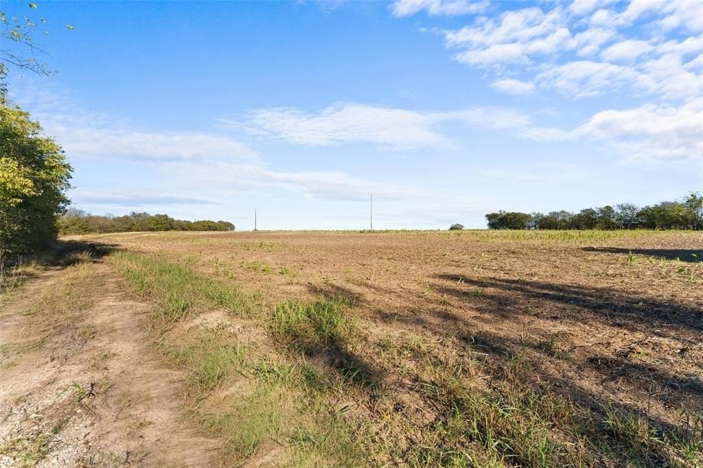 84 acres in Hill County - photo 4